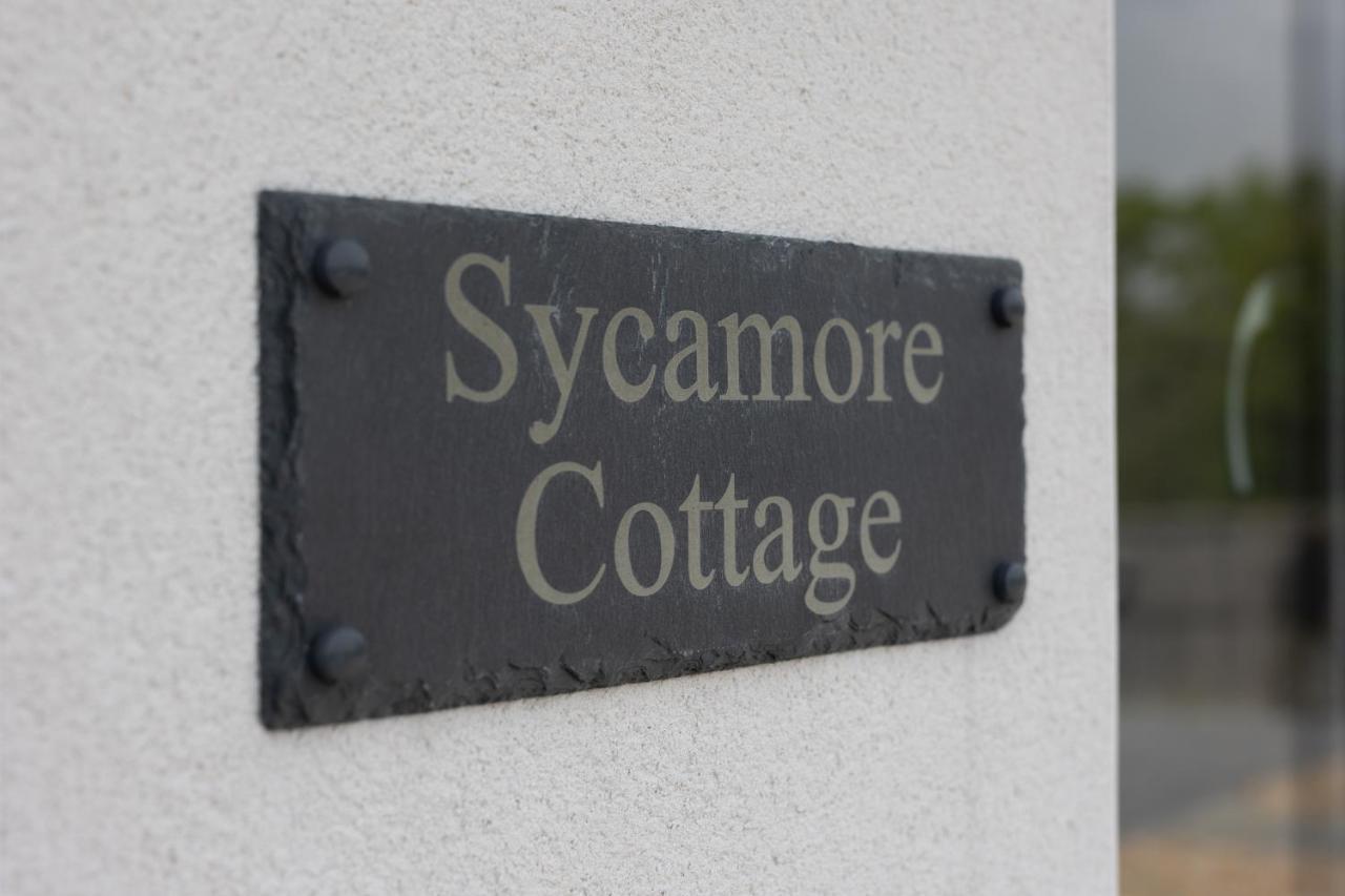 Sycamore Cottage Tenby Dış mekan fotoğraf